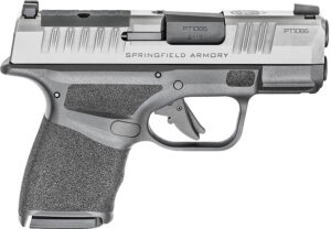 Springfield Hellcat Stainless